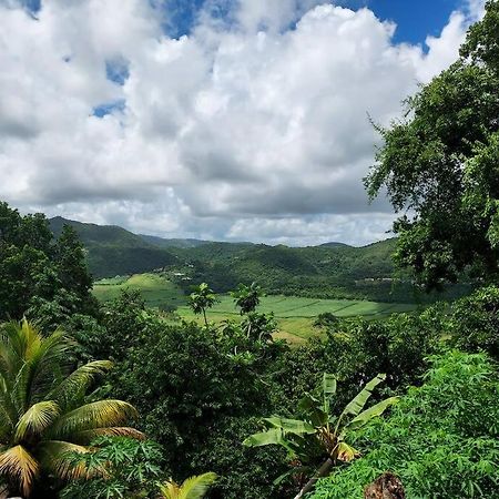 Appartement T2 Le Vallon Au Marin Martinique Le Marin 外观 照片