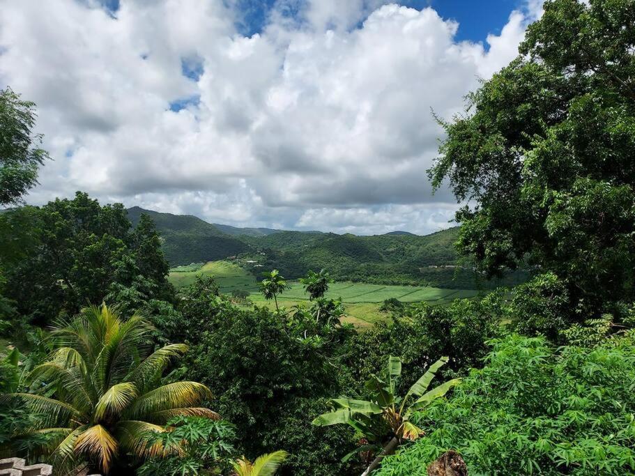 Appartement T2 Le Vallon Au Marin Martinique Le Marin 外观 照片